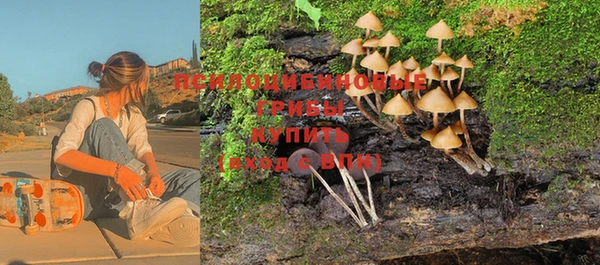 кокс Алексеевка