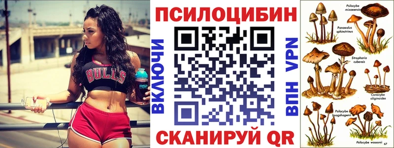 Псилоцибиновые грибы мицелий  МЕГА рабочий сайт  Королёв 